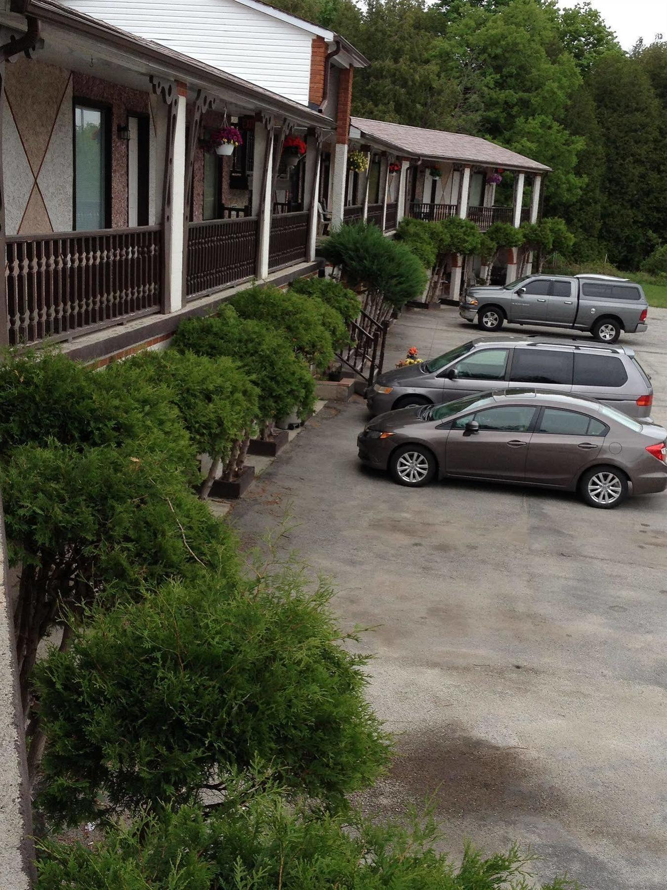 Cedar Springs Motel Acton Zewnętrze zdjęcie
